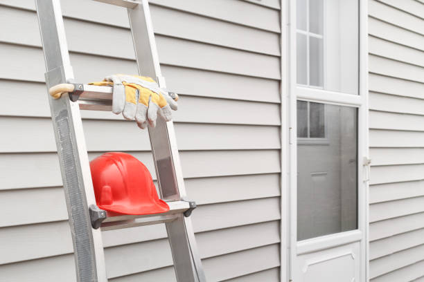 Best Shed Removal  in Williston, FL