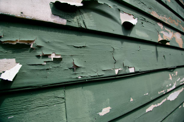 Best Dumpster Rental Services  in Williston, FL