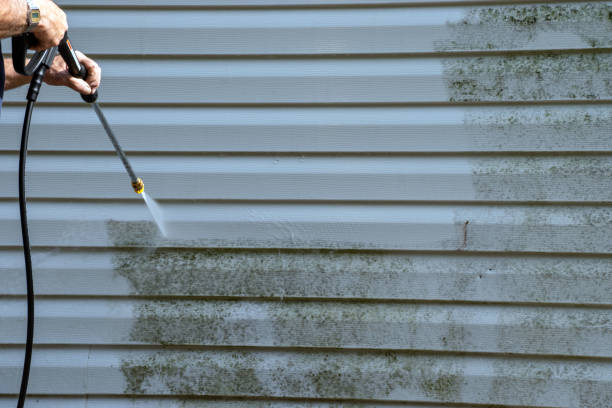 Best Property Management Cleanouts  in Williston, FL